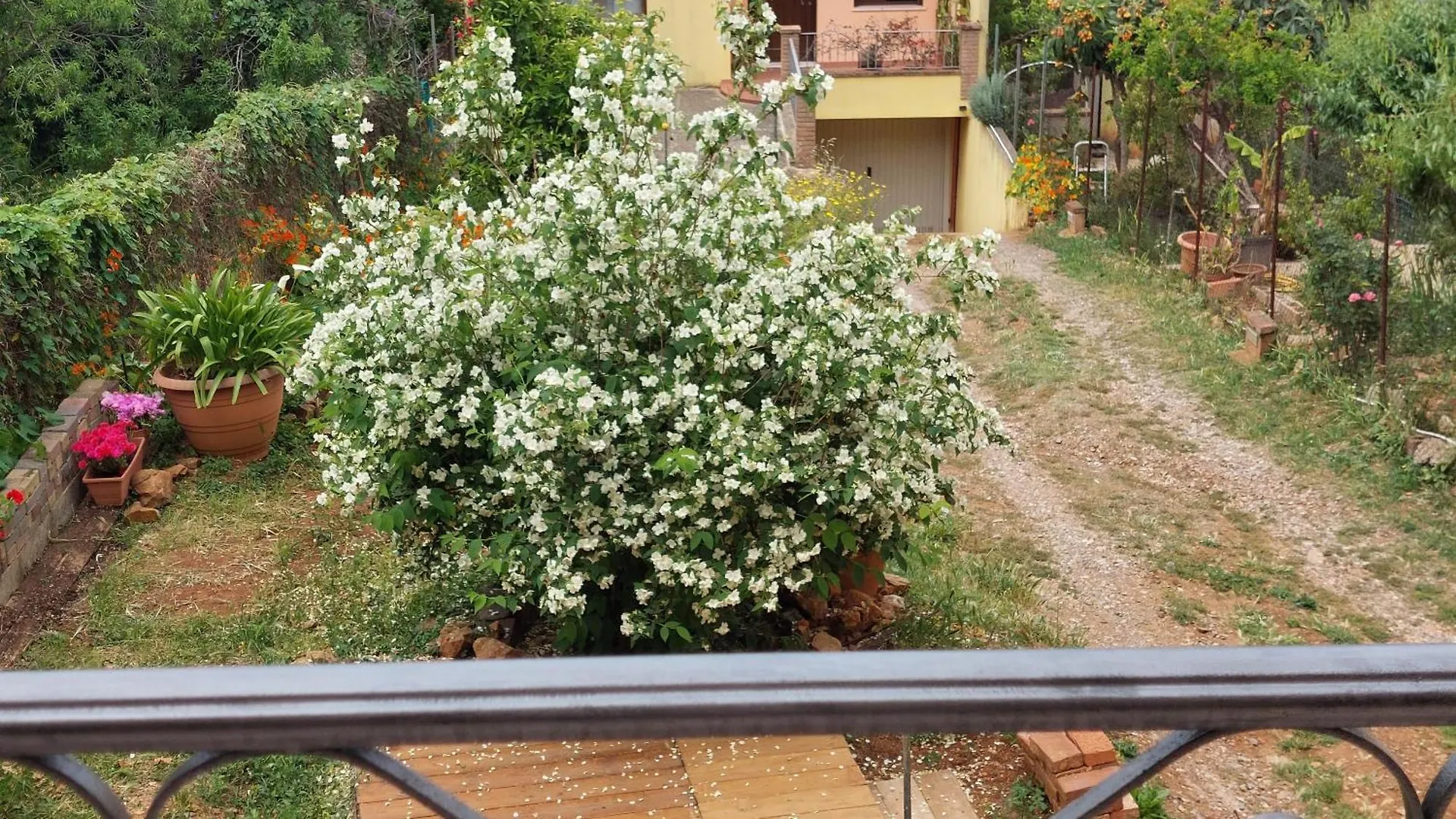 Il Filadelfo Apartment Iglesias